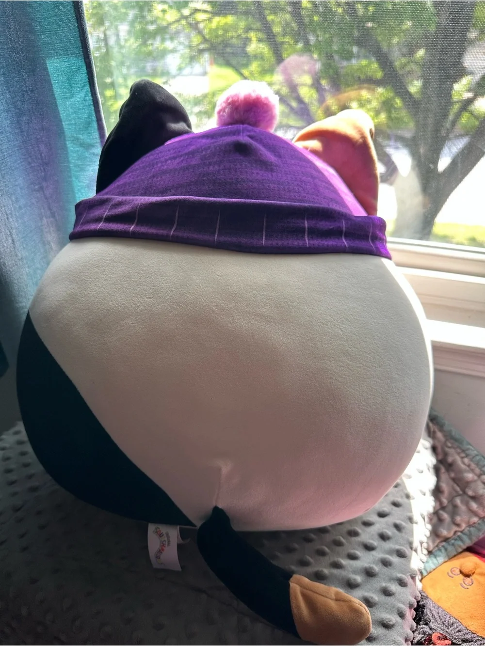 Squishmallows Calico Cat Plush with Purple Hat